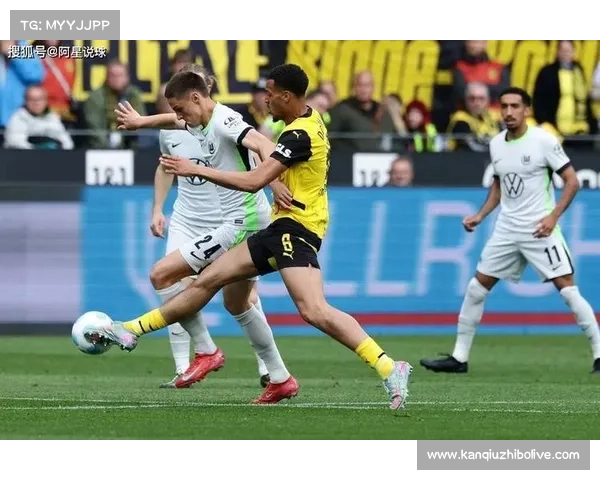 沃尔夫斯堡主场再遭霍芬海姆双杀 连败困局难解